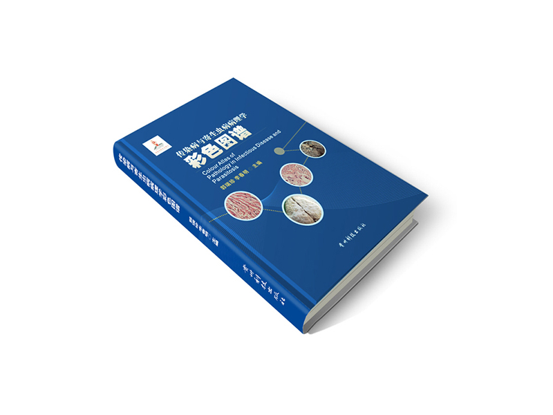 精裝書(shū)
